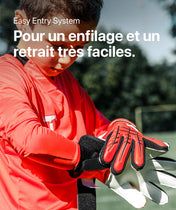 Red Beast Junior 3.0 (FP)