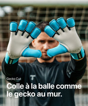 Rebel 2.0 Sky Blue (FP)