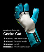 Rebel 2.0 Sky Blue (FP)